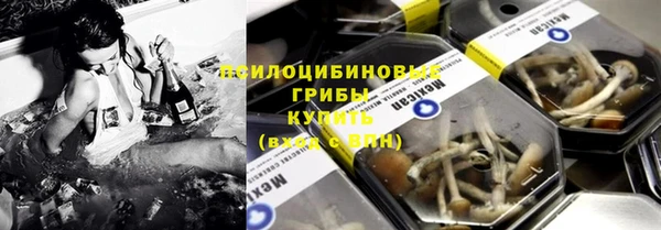 бошки Мегион
