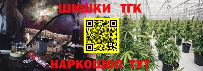 дмт Камышлов