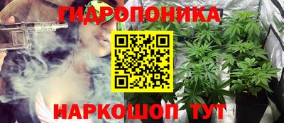 мяу мяу мука Кандалакша