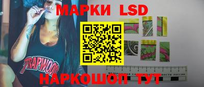 мяу мяу мука Кандалакша