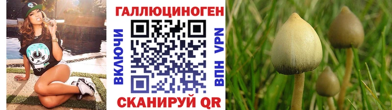 купить   Родники  Псилоцибиновые грибы ЛСД 