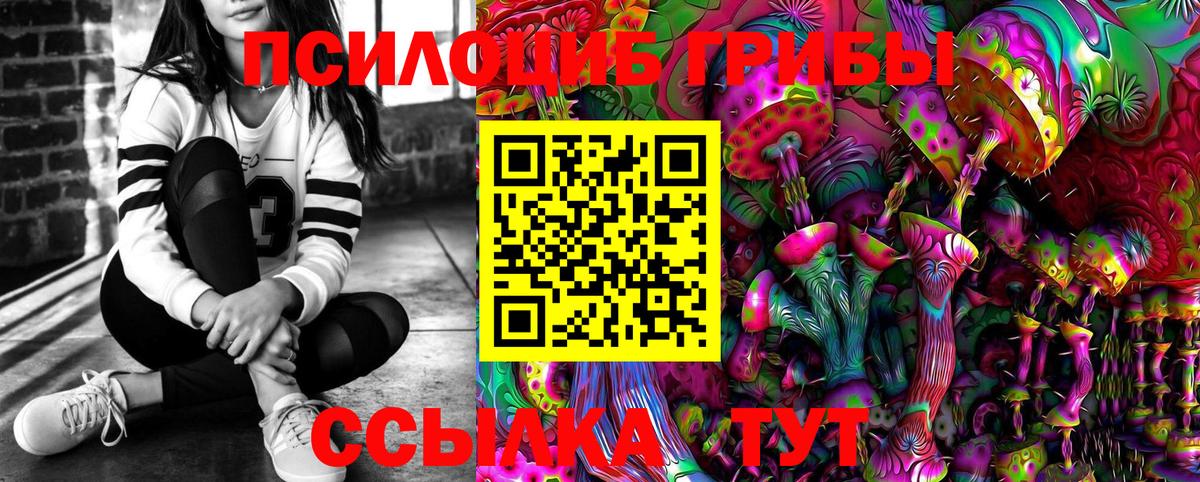 Псилоцибиновые грибы Psilocybine cubensis Родники