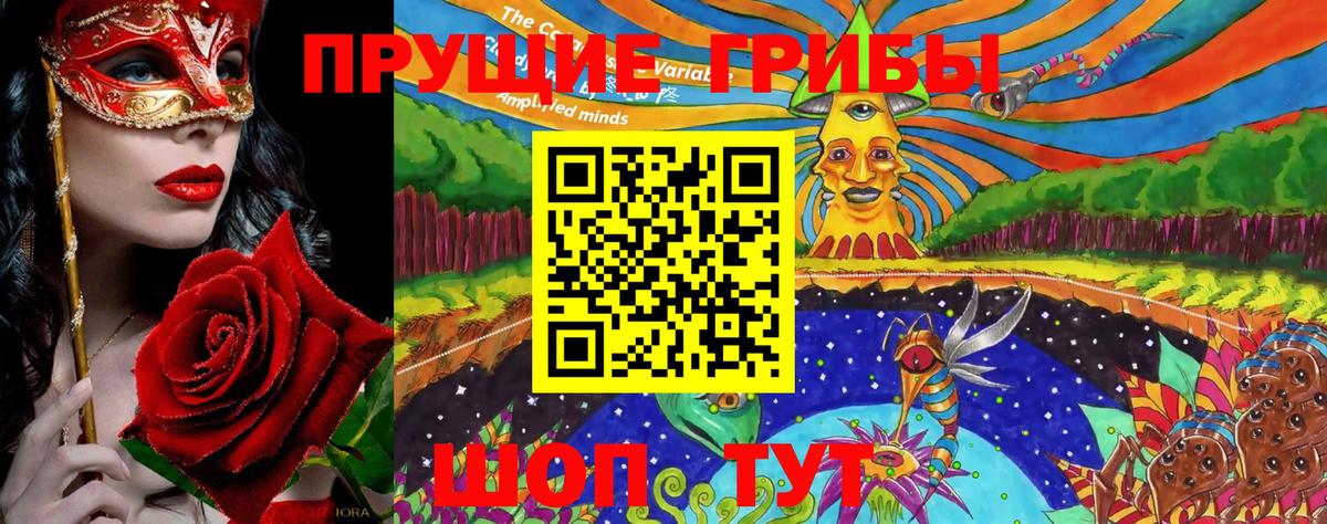 Галлюциногенные грибы Psilocybe Родники